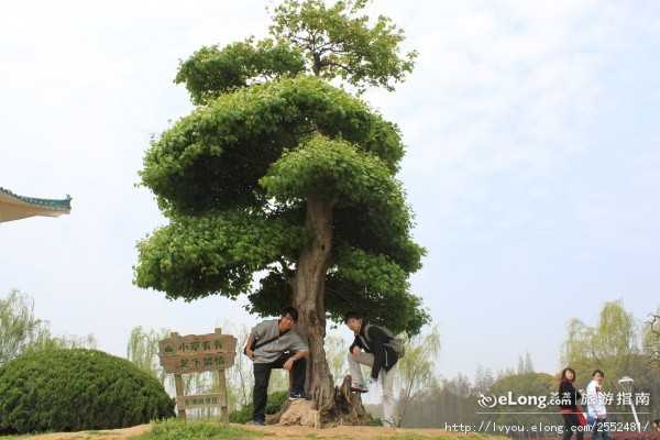 长江三峡旅游线路 深圳到三峡旅游四天高铁团报价