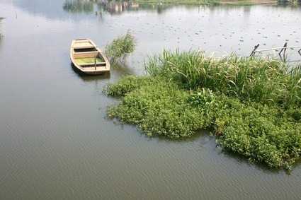 镜湖湿地公园