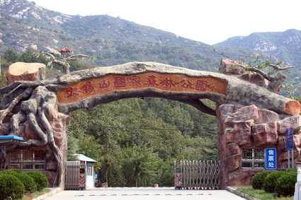 大杨山