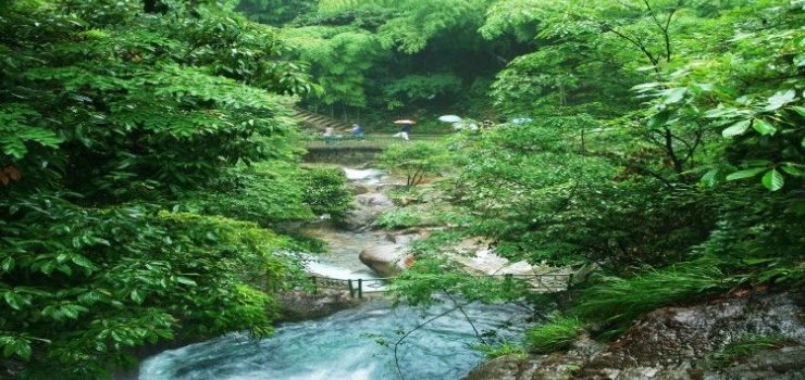 浙西旅游 南京到浙西十门峡 太湖源 指南村赏秋二日游