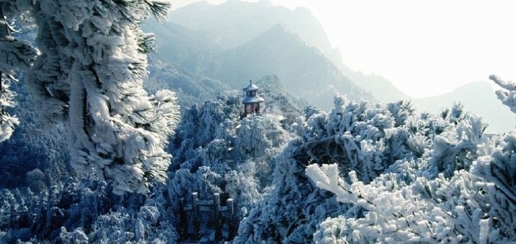 西海(巾口)景区游湖亲水一日游