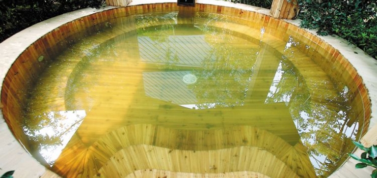 合肥到江苏常州中华恐龙园、恐龙谷温泉、美丽新世界2日旅游