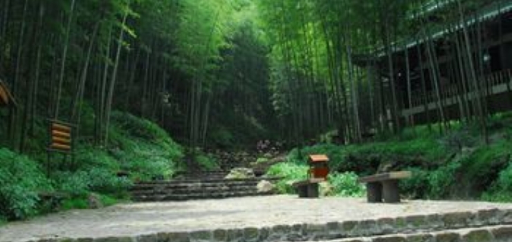 宜兴竹海风景区