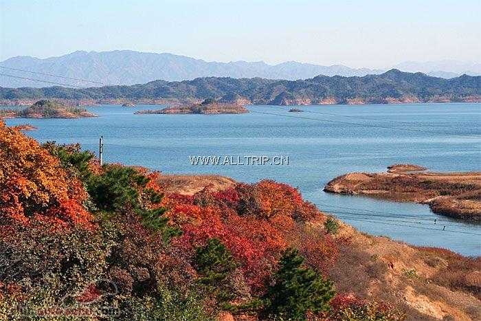 黄河三角洲湿地