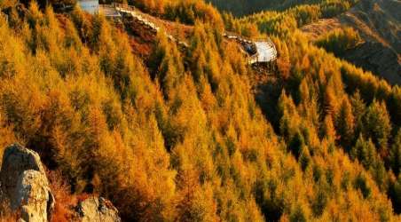 全程旅游网首页 内蒙古 乌兰察布旅游 景点 苏木山  分享到: 所属地区