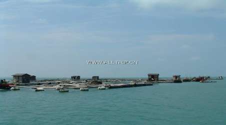 【沙洲岛】琼海沙洲岛门票价格,开放时间,介绍和团购预订_景点_琼海