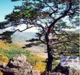 仙境台风景区