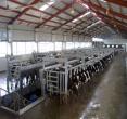 蒙牛乳业集团工业旅游区