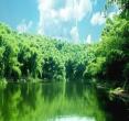 川西竹海