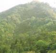 普照山风景名胜区