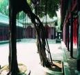 金门延平郡王祠