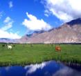 (西藏拉萨)青藏高原