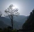 三溪风景区