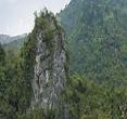 红豆杉山庄