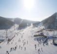 莲花山滑雪