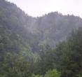 白露山