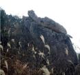 白马山
