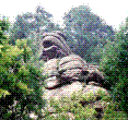钢山森林公园 