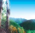 苍龙山