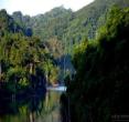 热带雨林自然保护区