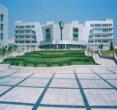 青岛大学