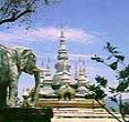 (云南西双版纳)野象谷