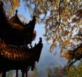 宝林寺