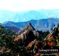 马鞍山森林公园
