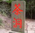 (福建武夷山)茶洞