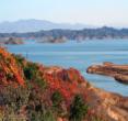 黄河三角洲湿地