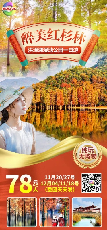 南京到泗洪洪泽湖湿地公园一日游【醉美水杉林】