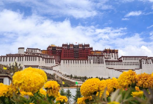 海南到西藏旅游-海口到西藏旅游团-西藏拉萨林芝深度九日游