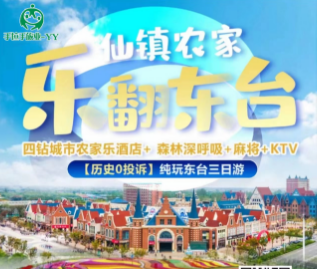 南京到东台荷兰花海 黄海森林公园 仙镇农家乐三日游