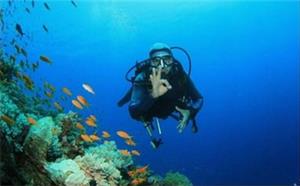 三亚潜水到亚龙湾潜水三亚亚龙湾潜水多少钱
