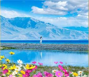 海口到新疆八日游 浪漫伊犁新疆全程无自费升级二晚五星酒店