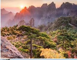 海口到黄山旅游--海口参团梦幻黄山+瓷都景德镇双飞六日游