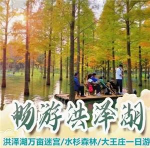 南京到洪泽湖湿地公园+大王庄景区纯玩一日游