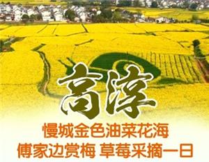 南京到国际慢城”高淳桠溪、傅家边赏花采草莓一日游